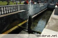 Żródło 
